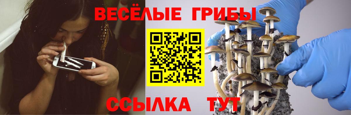 наркошоп  Вход с VPN  Галлюциногенные грибы Psilocybe  Усть-Илимск  Галлюциногенные грибы ЛСД 